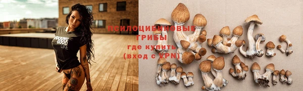 гашишное масло Гусев