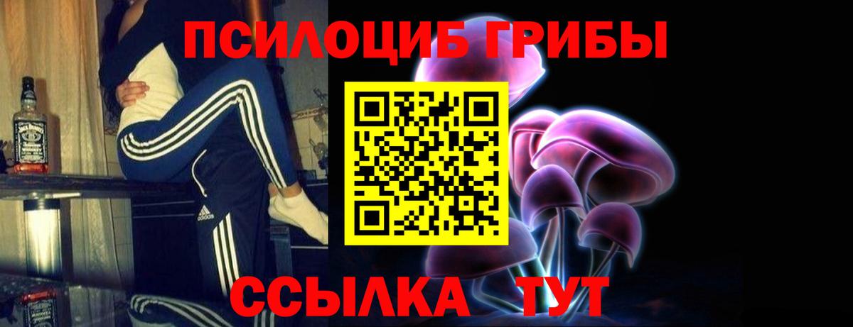 Псилоцибиновые грибы Psilocybe Мценск